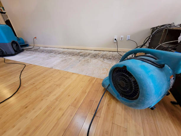 Professional Structural Drying technician working in Brightwood, OR